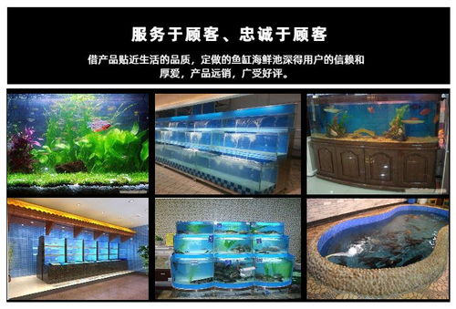 海鮮池定制推薦 欣璽匯專業(yè)圖文設(shè)計制作服務(wù)